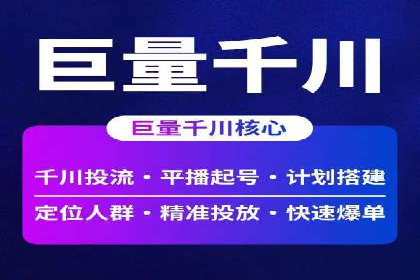 某行业领军企业的SEM广告投放策略